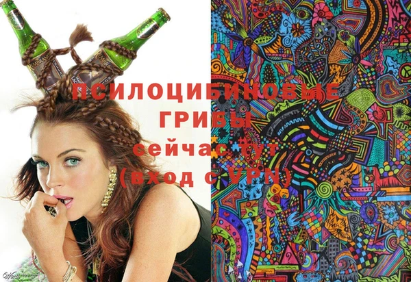 дмт Алзамай