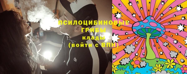дмт Алзамай