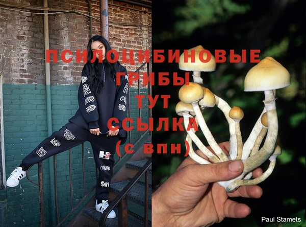 дмт Алзамай