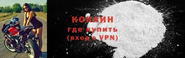 дурь Ельня